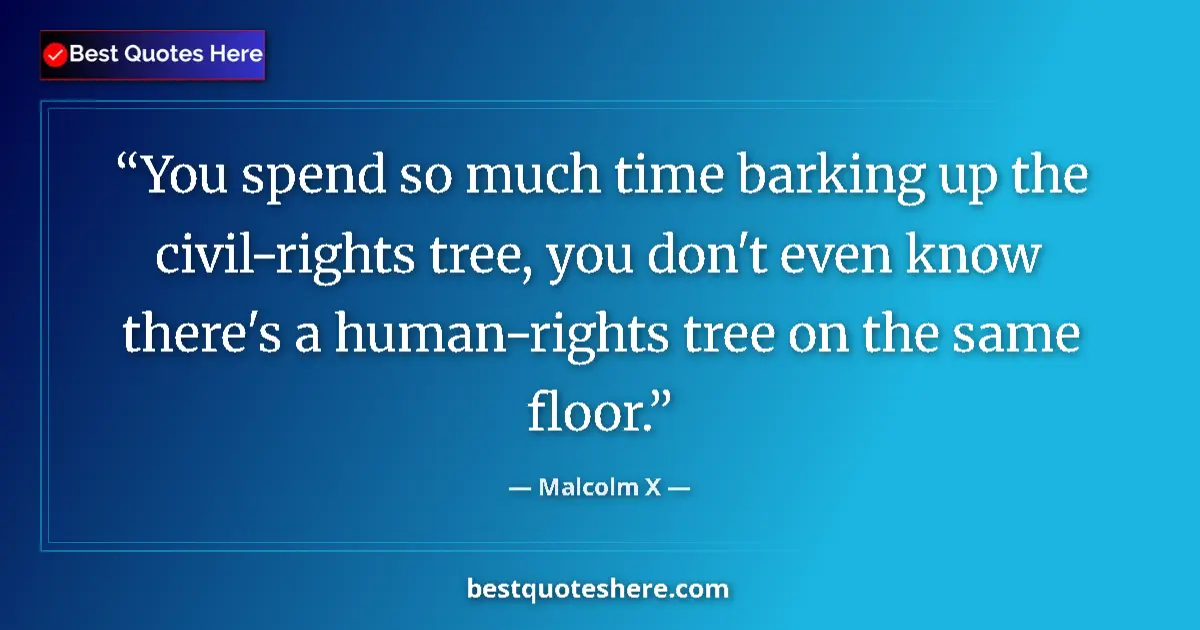 Quote by Malcolm X: You spend so much time barking up the civil-rights tree, you don't even know there's a human-rights ...