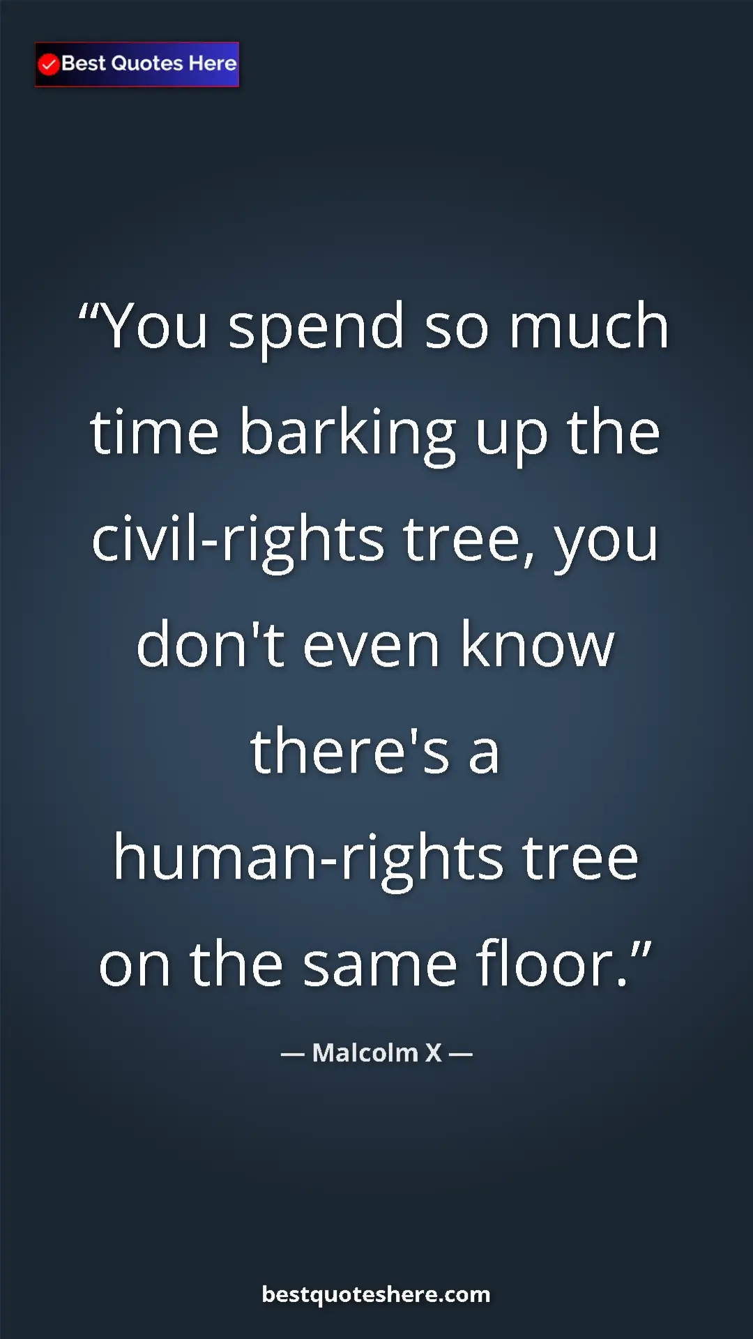 Malcolm X Quote Card: "You spend so much time barking up the civil-rights tree,..." Pinterest quote poster by Malcolm X: "You spend so much time barking up the civil-rights tree,..."