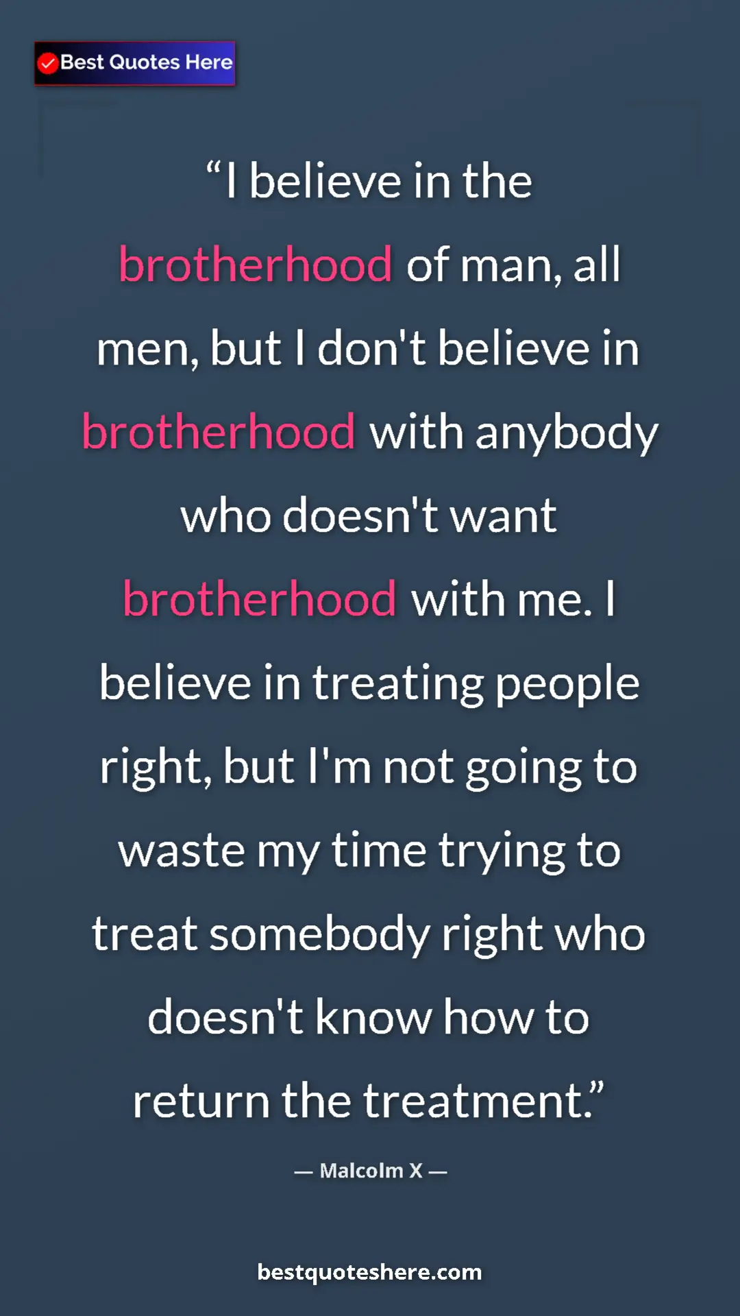 Pinterest quote poster by Malcolm X: "I believe in the brotherhood of man, all men, but I don't..."