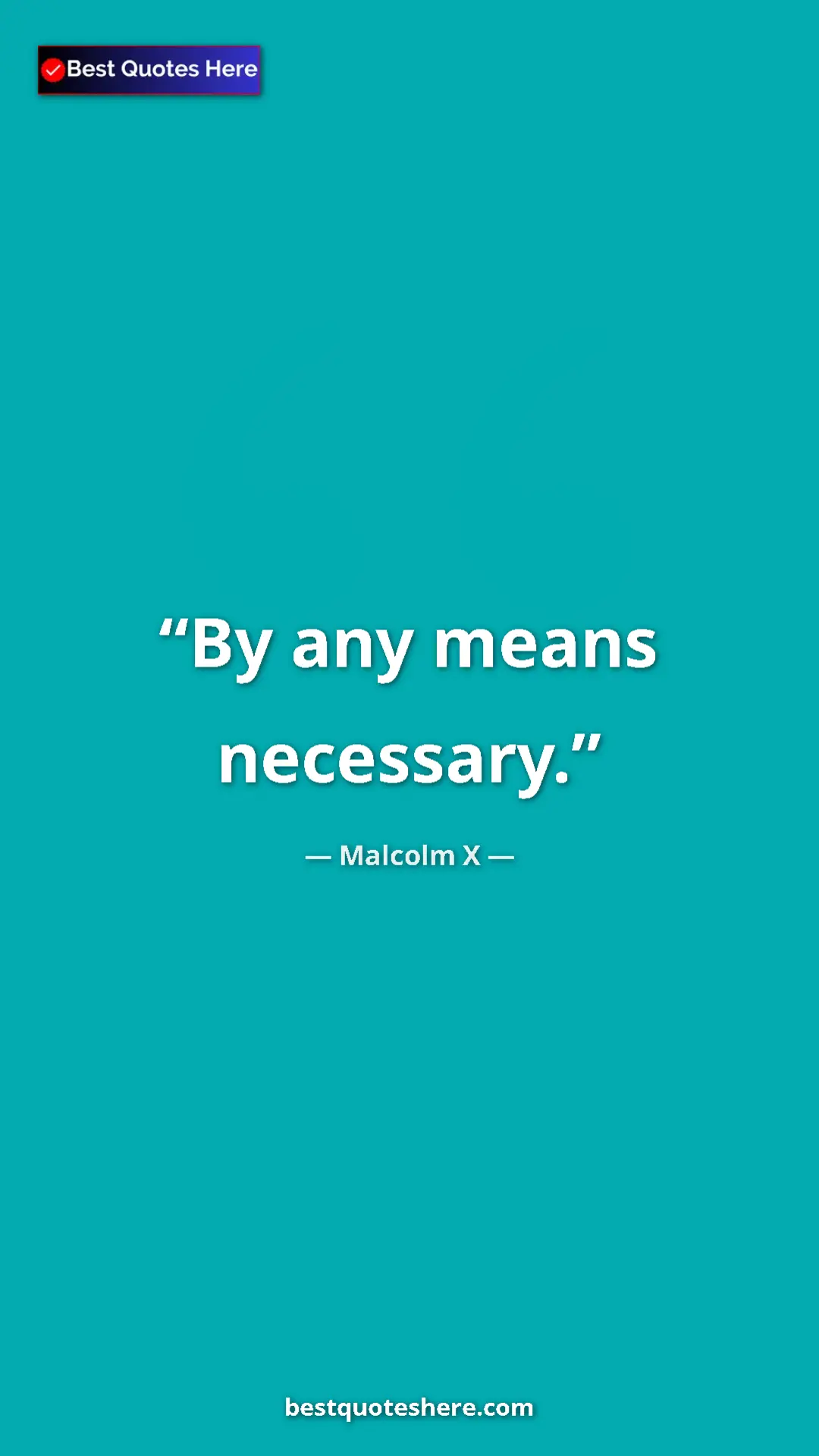 Pinterest quote poster by Malcolm X: "By any means necessary."