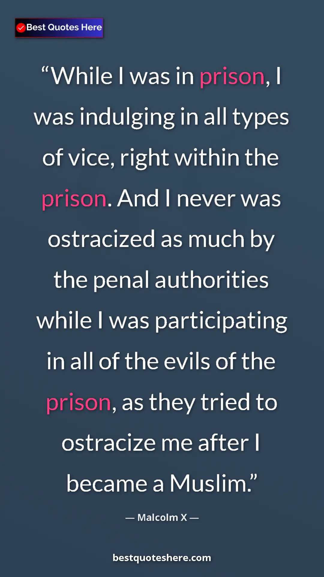 Malcolm X Quote Card: "While I was in prison, I was indulging in all types of..." Pinterest quote poster by Malcolm X: "While I was in prison, I was indulging in all types of..."