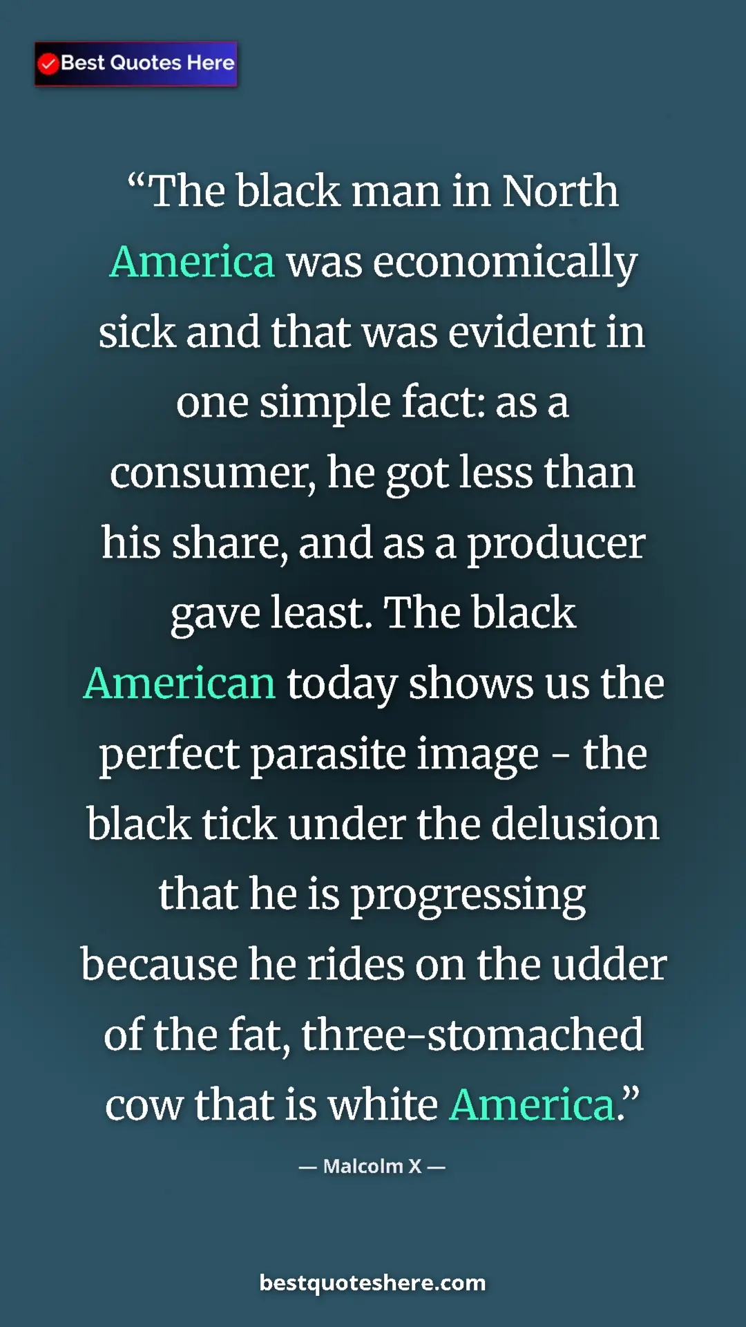 Malcolm X Quote Card: "The black man in North America was economically sick and..." Pinterest quote poster by Malcolm X: "The black man in North America was economically sick and..."