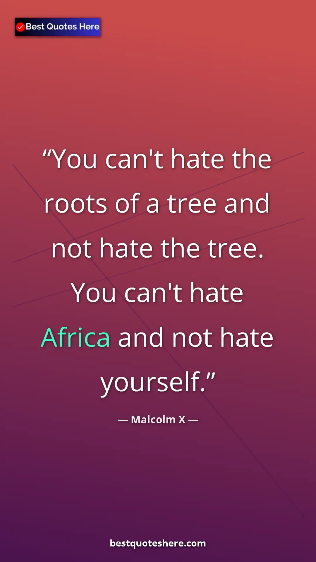 Malcolm X Quote Card: "You can't hate the roots of a tree and not hate the tree...." Pinterest quote poster by Malcolm X: "You can't hate the roots of a tree and not hate the tree...."
