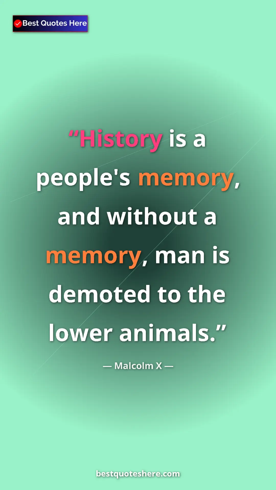 Pinterest quote poster by Malcolm X: "History is a people's memory, and without a memory, man is..."