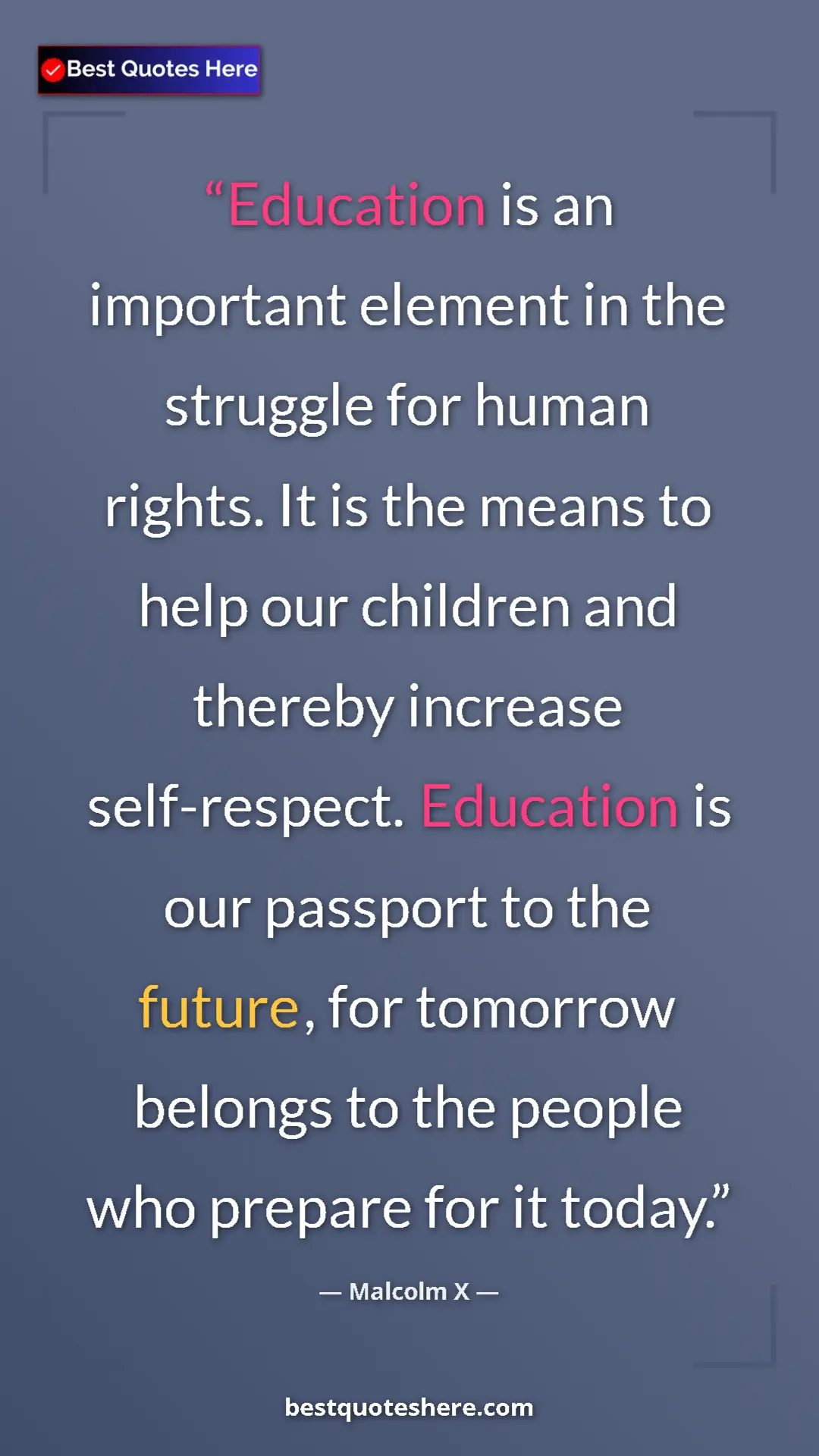 Malcolm X Quote Card: "Education is an important element in the struggle for human..." Pinterest quote poster by Malcolm X: "Education is an important element in the struggle for human..."