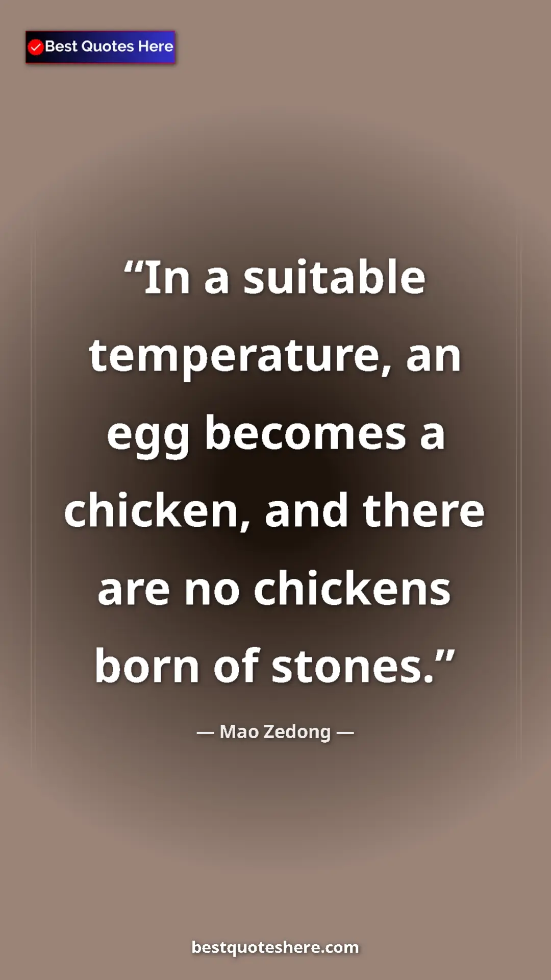 Pinterest quote poster by Mao Zedong: "In a suitable temperature, an egg becomes a chicken, and..."