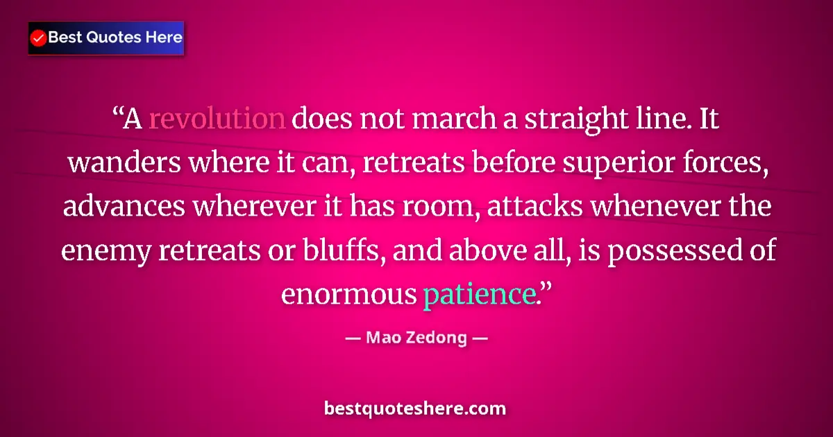 Quote by Mao Zedong: A revolution does not march a straight line. It wanders where it can, retreats before superior force...