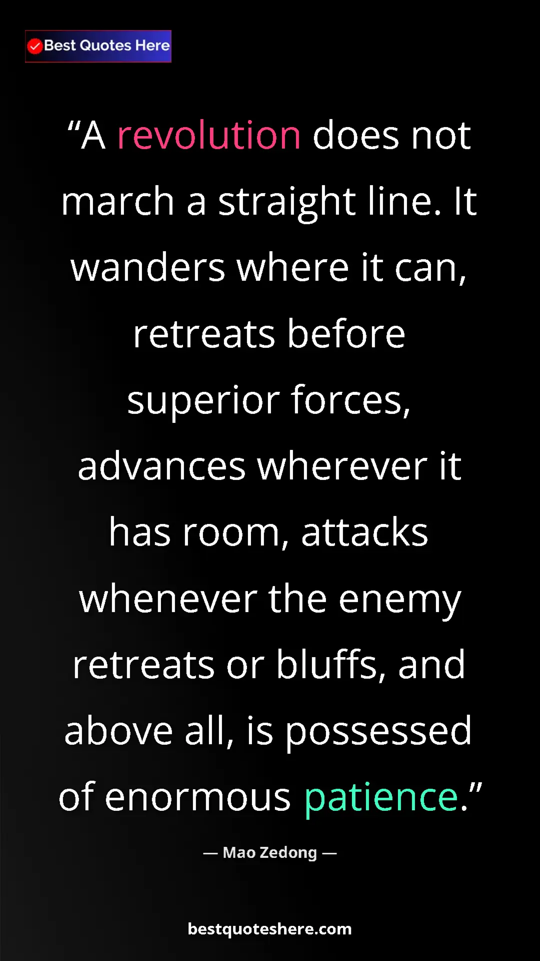 Pinterest quote poster by Mao Zedong: "A revolution does not march a straight line. It wanders..."