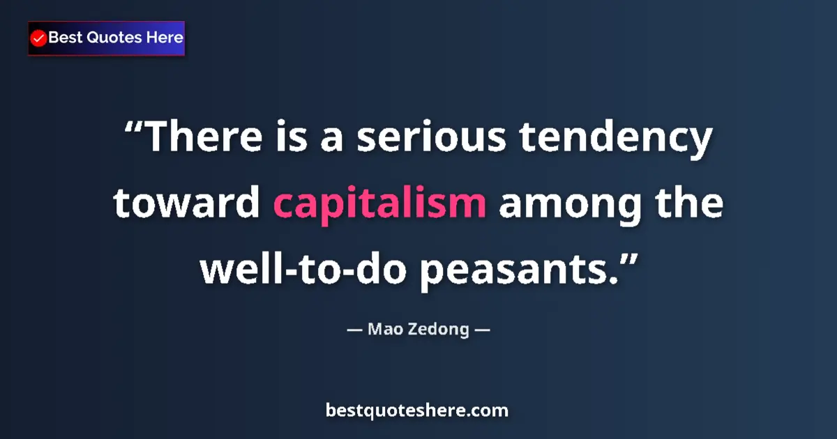 Quote by Mao Zedong: There is a serious tendency toward capitalism among the well-to-do peasants....