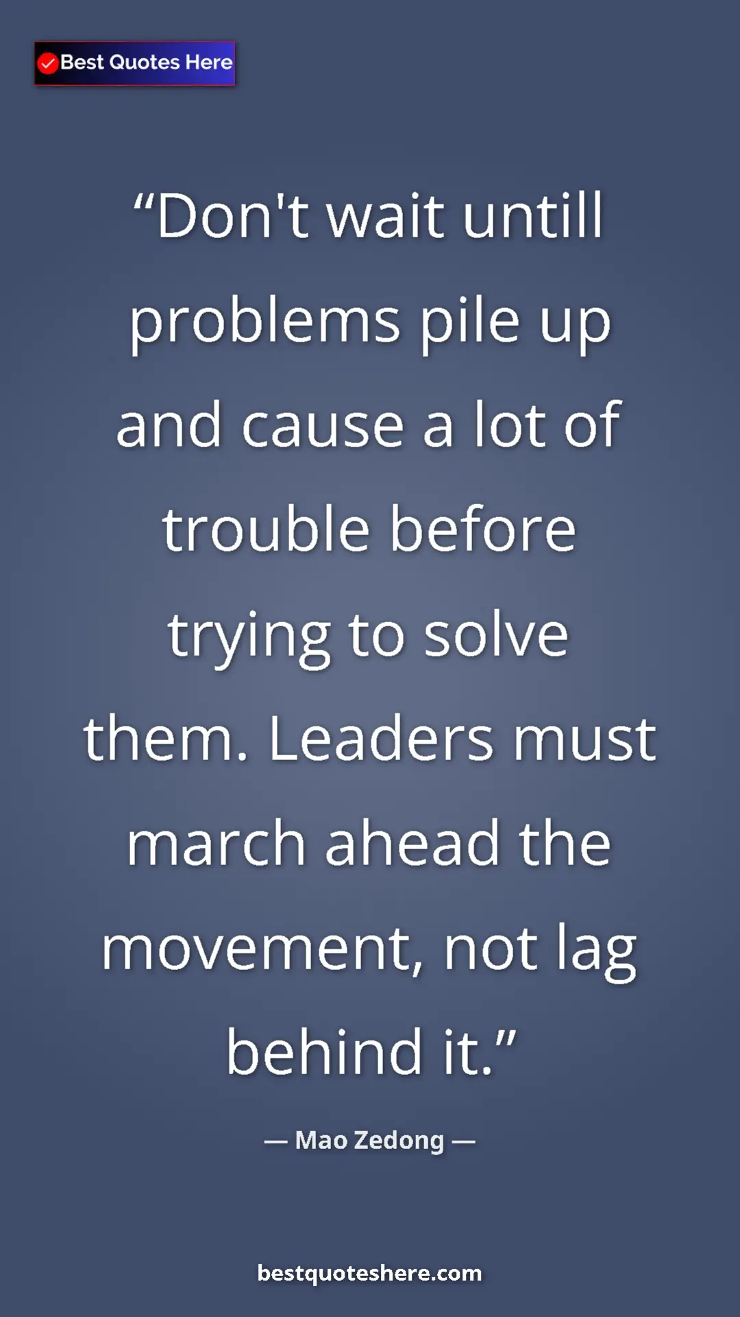 Pinterest quote poster by Mao Zedong: "Don't wait untill problems pile up and cause a lot of..."