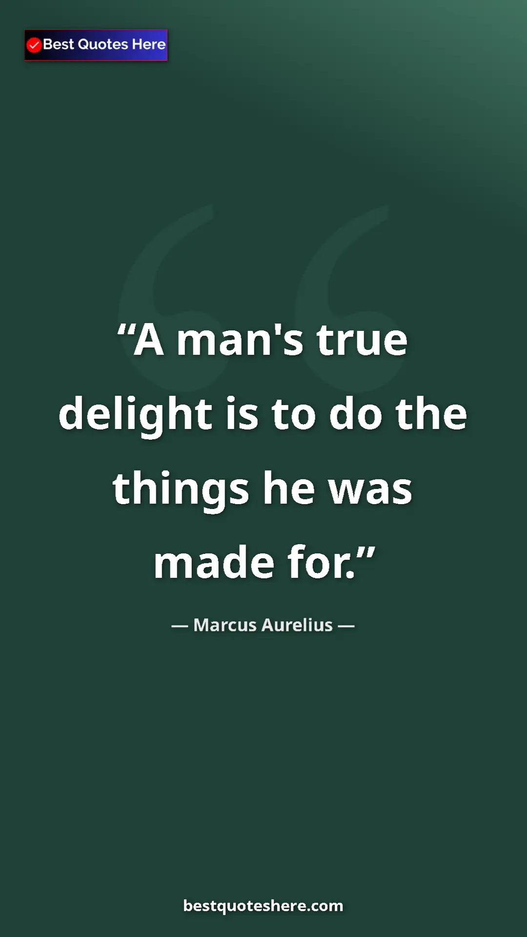 Pinterest quote poster by Marcus Aurelius: "A man's true delight is to do the things he was made for."
