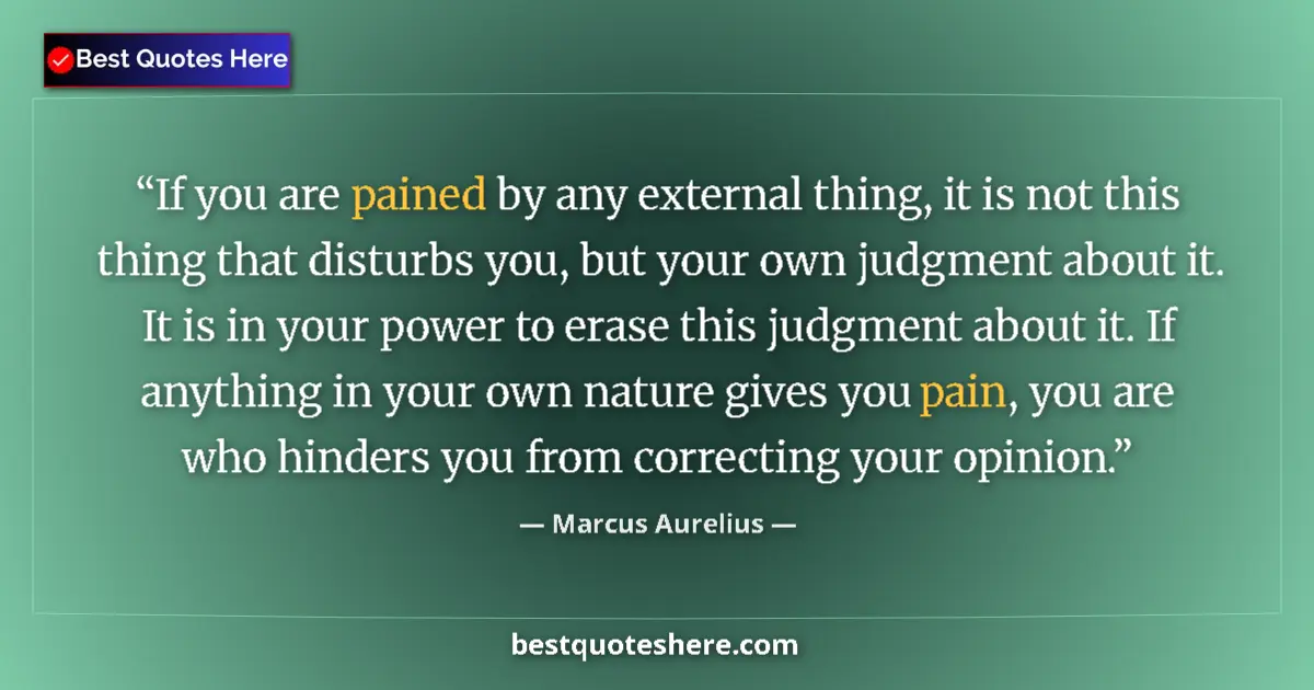 Quote by Marcus Aurelius: If you are pained by any external thing, it is not this thing that disturbs you, but your own judgme...