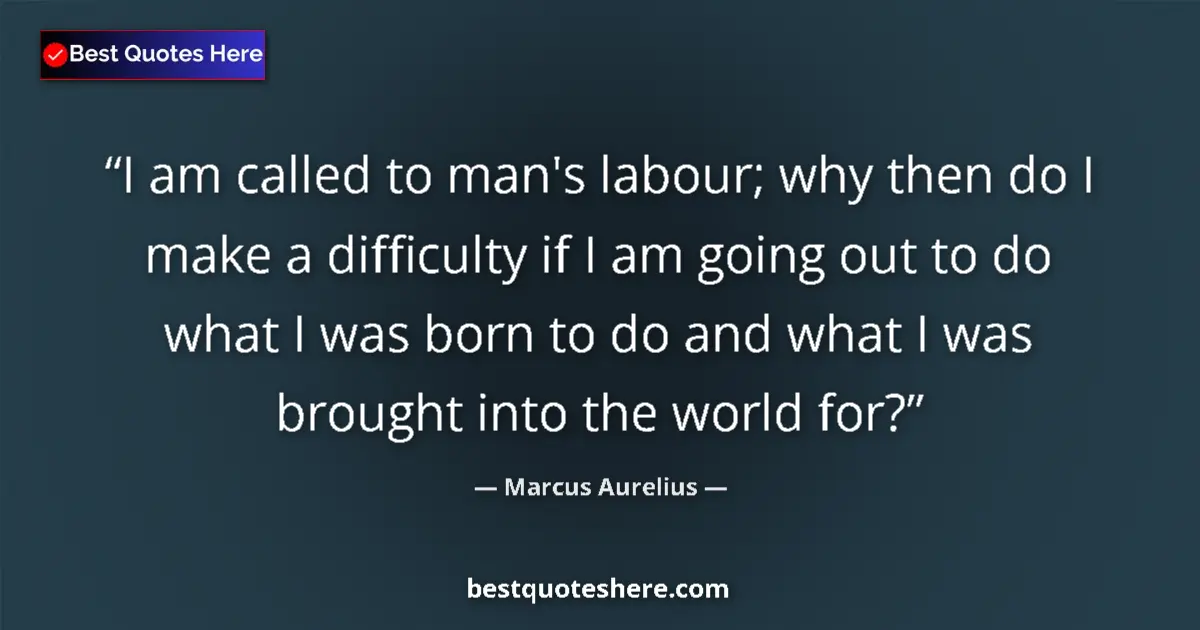Quote by Marcus Aurelius: I am called to man's labour; why then do I make a difficulty if I am going out to do what I was born...