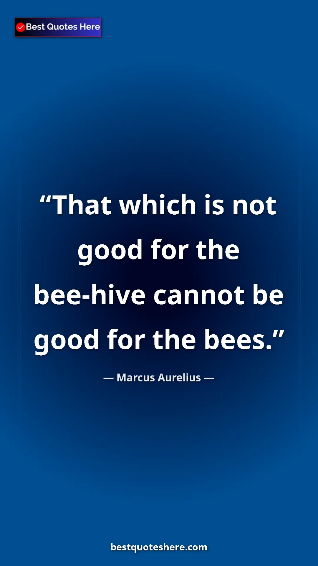 Pinterest quote poster by Marcus Aurelius: "That which is not good for the bee-hive cannot be good for..."