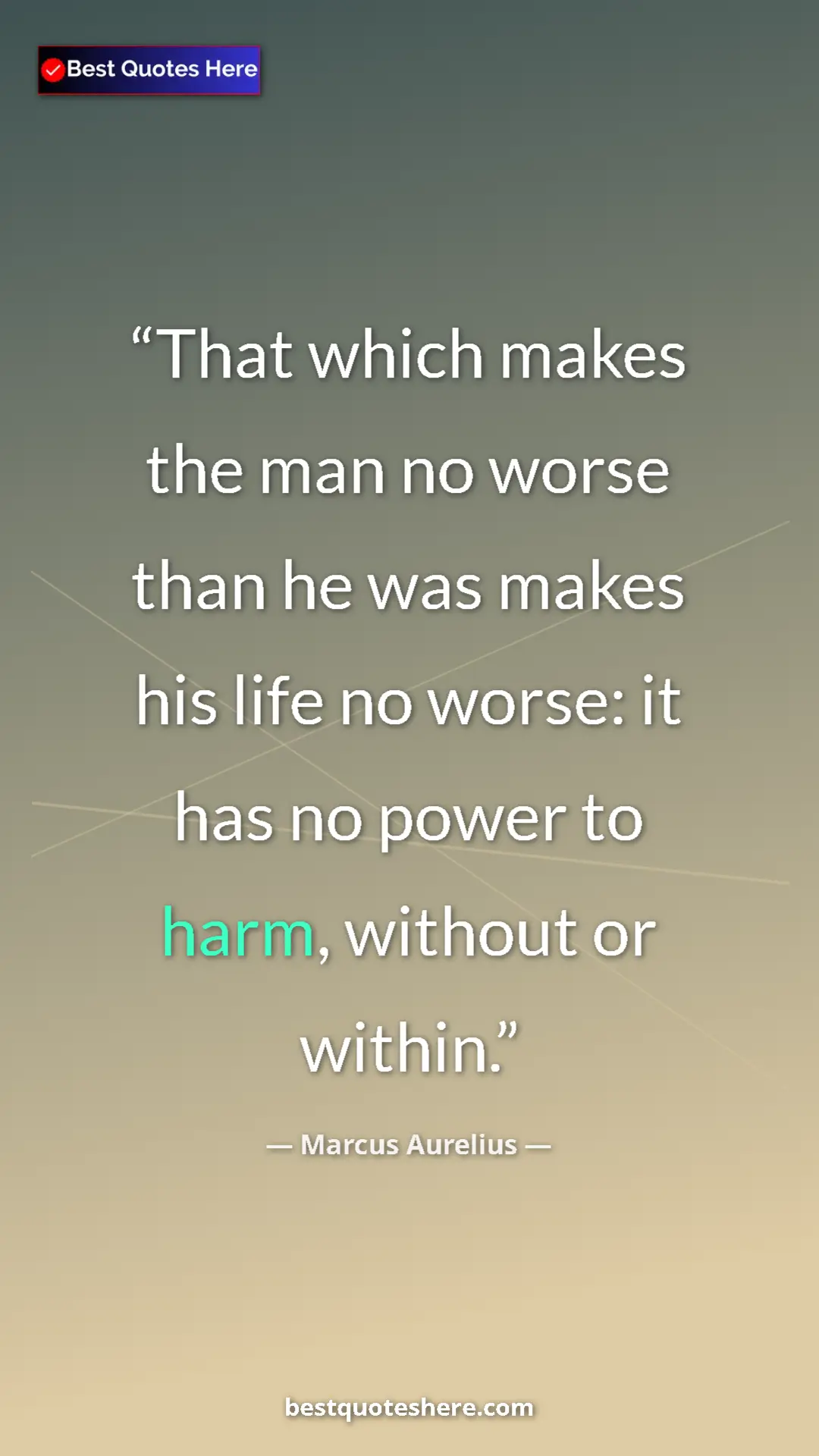 Pinterest quote poster by Marcus Aurelius: "That which makes the man no worse than he was makes his..."