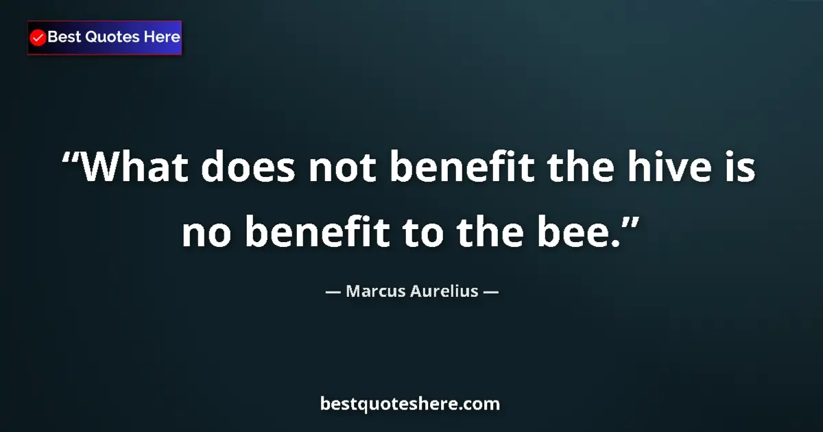 Quote by Marcus Aurelius: What does not benefit the hive is no benefit to the bee....