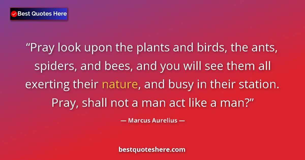 Quote by Marcus Aurelius: Pray look upon the plants and birds, the ants, spiders, and bees, and you will see them all exerting...