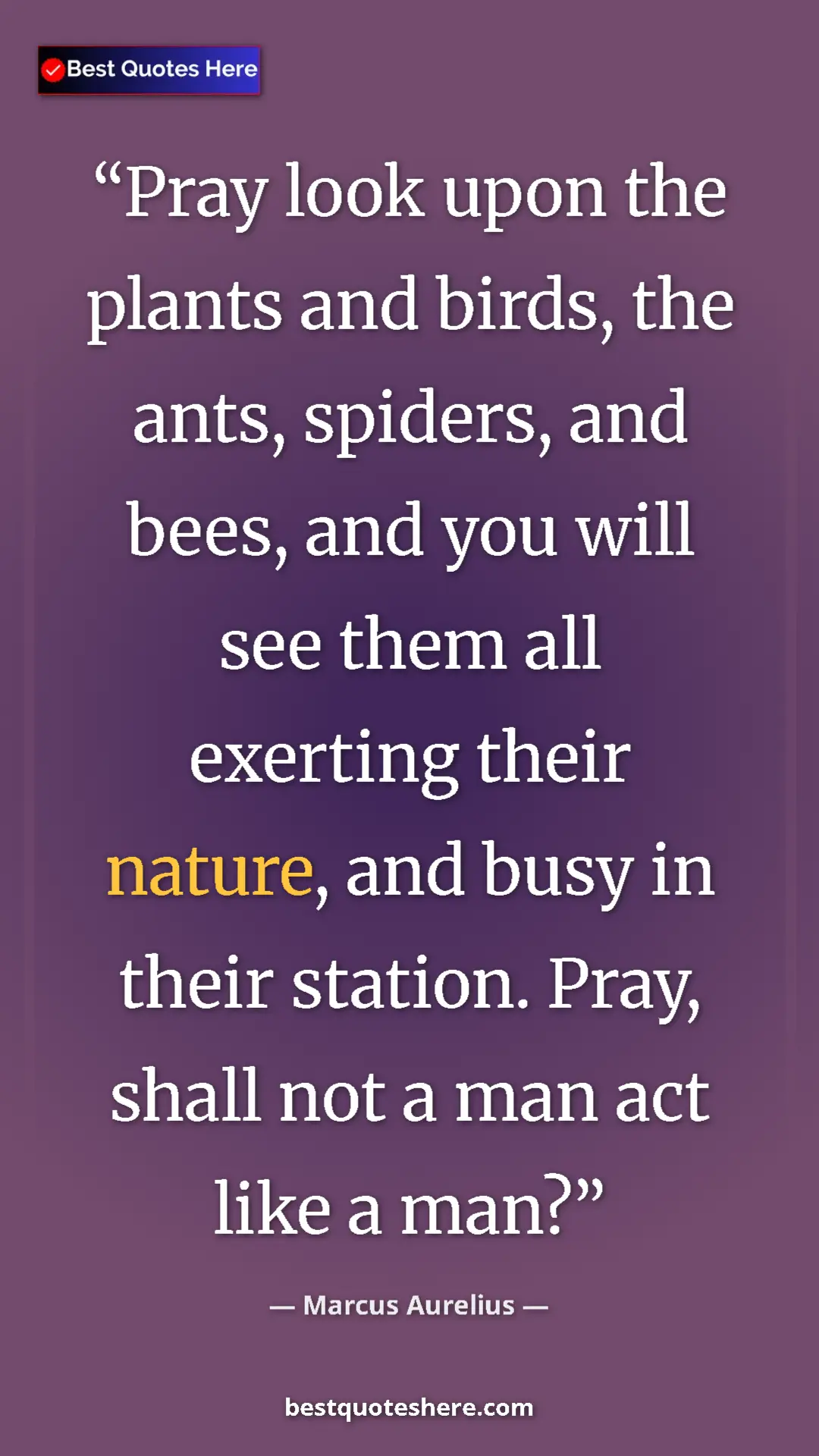 Pinterest quote poster by Marcus Aurelius: "Pray look upon the plants and birds, the ants, spiders, and..."