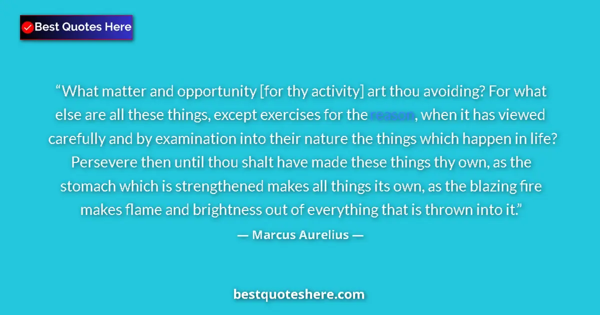 Marcus Aurelius quote: "What matter and opportunity [for thy activity] art thou..."