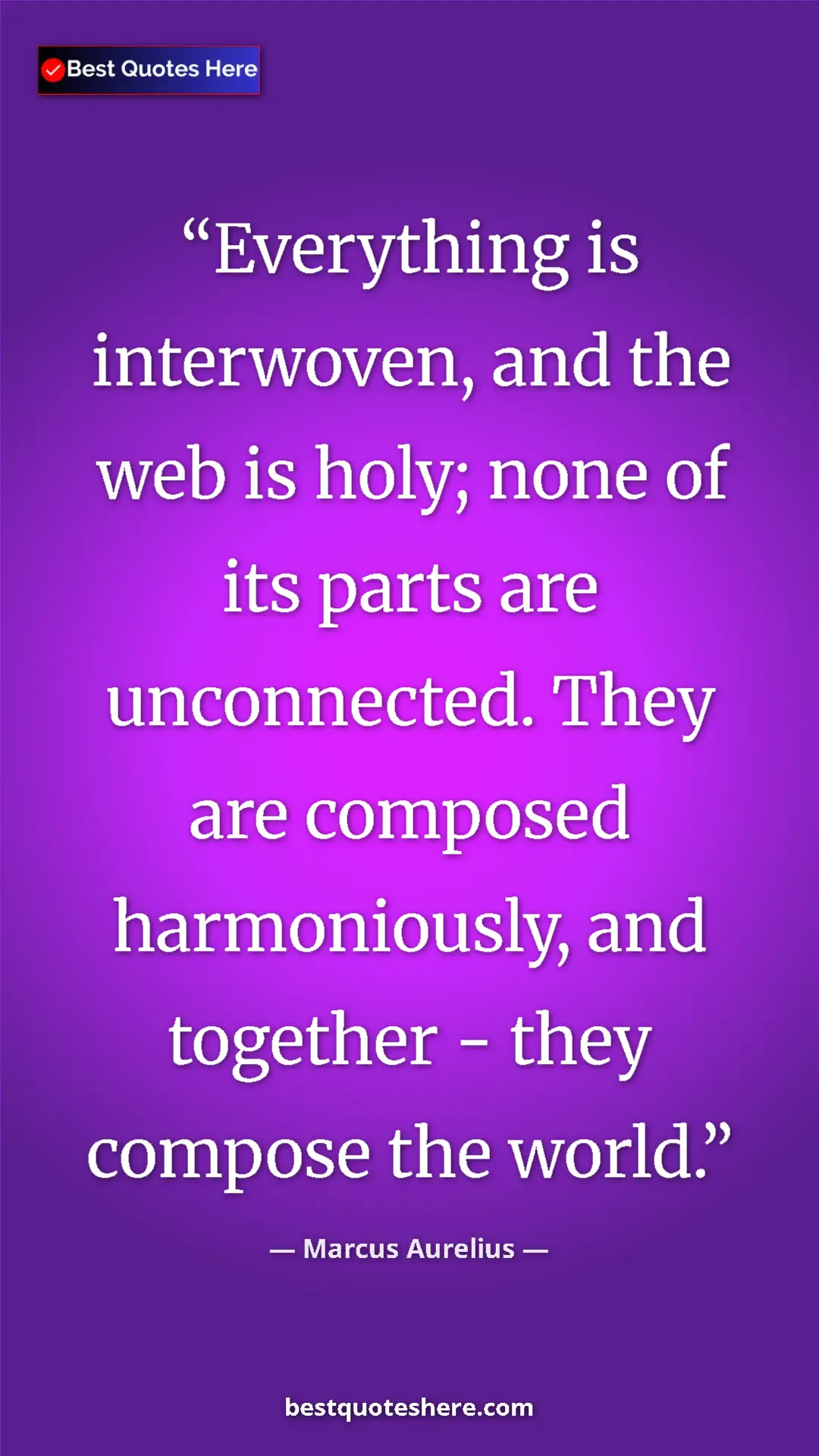 Pinterest quote poster by Marcus Aurelius: "Everything is interwoven, and the web is holy; none of its..."