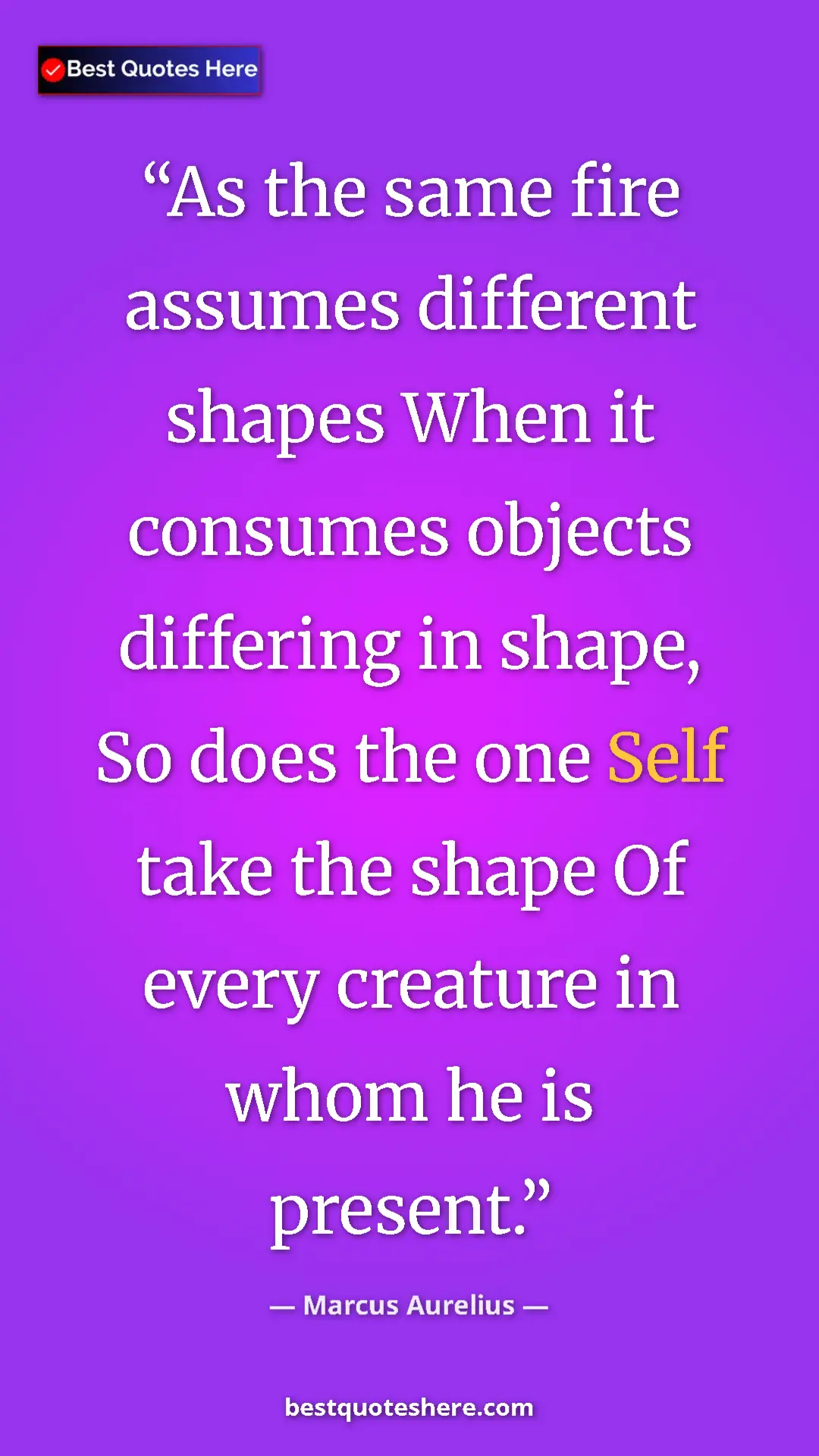 Pinterest quote poster by Marcus Aurelius: "As the same fire assumes different shapes When it consumes..."
