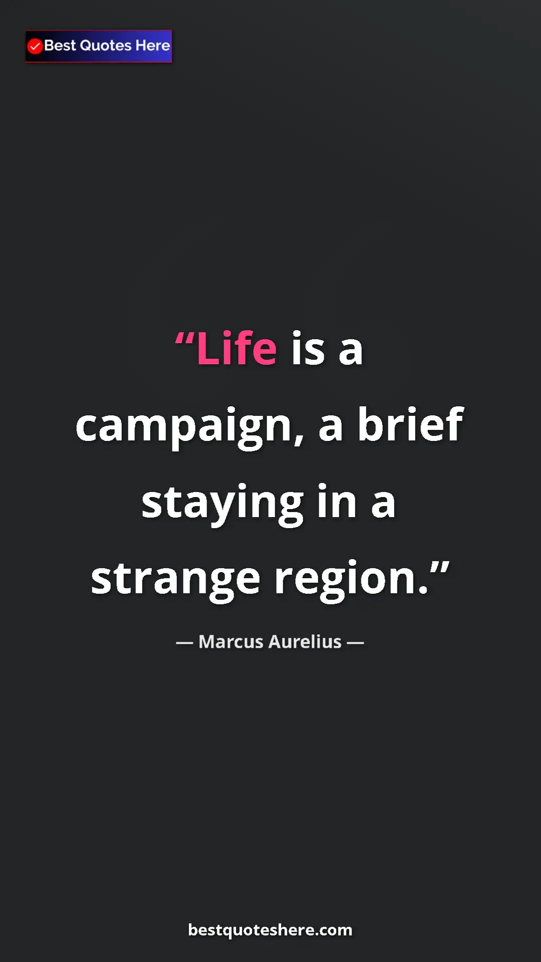 Pinterest quote poster by Marcus Aurelius: "Life is a campaign, a brief staying in a strange region."
