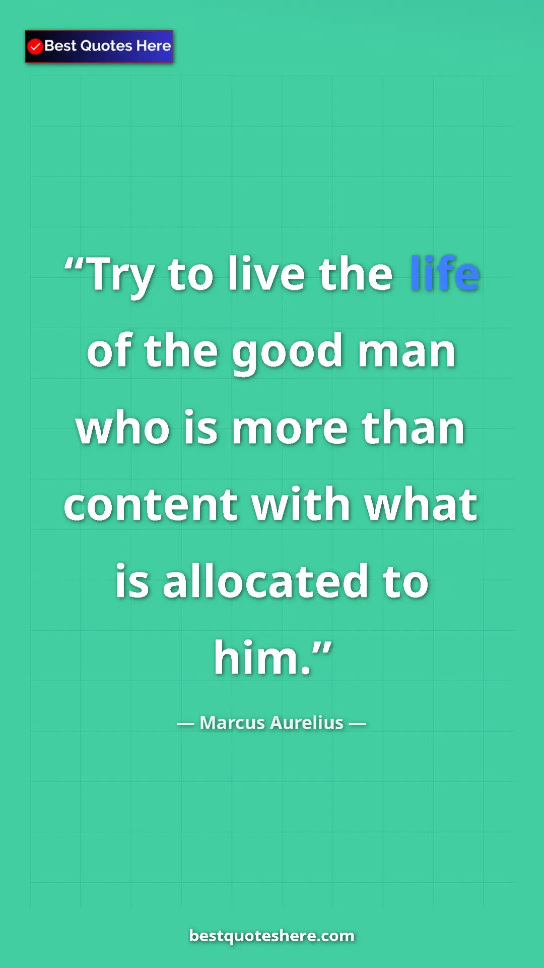 Pinterest quote poster by Marcus Aurelius: "Try to live the life of the good man who is more than..."