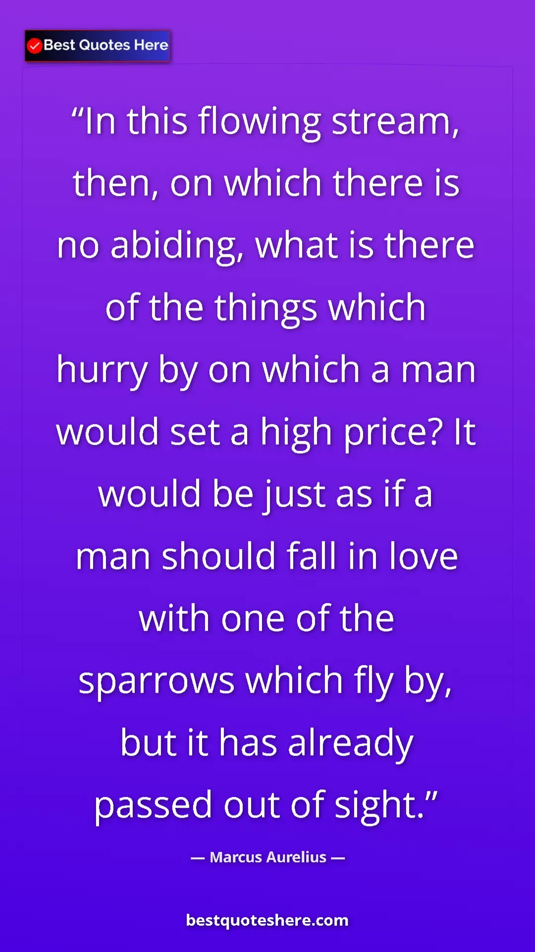 Pinterest quote poster by Marcus Aurelius: "In this flowing stream, then, on which there is no abiding,..."