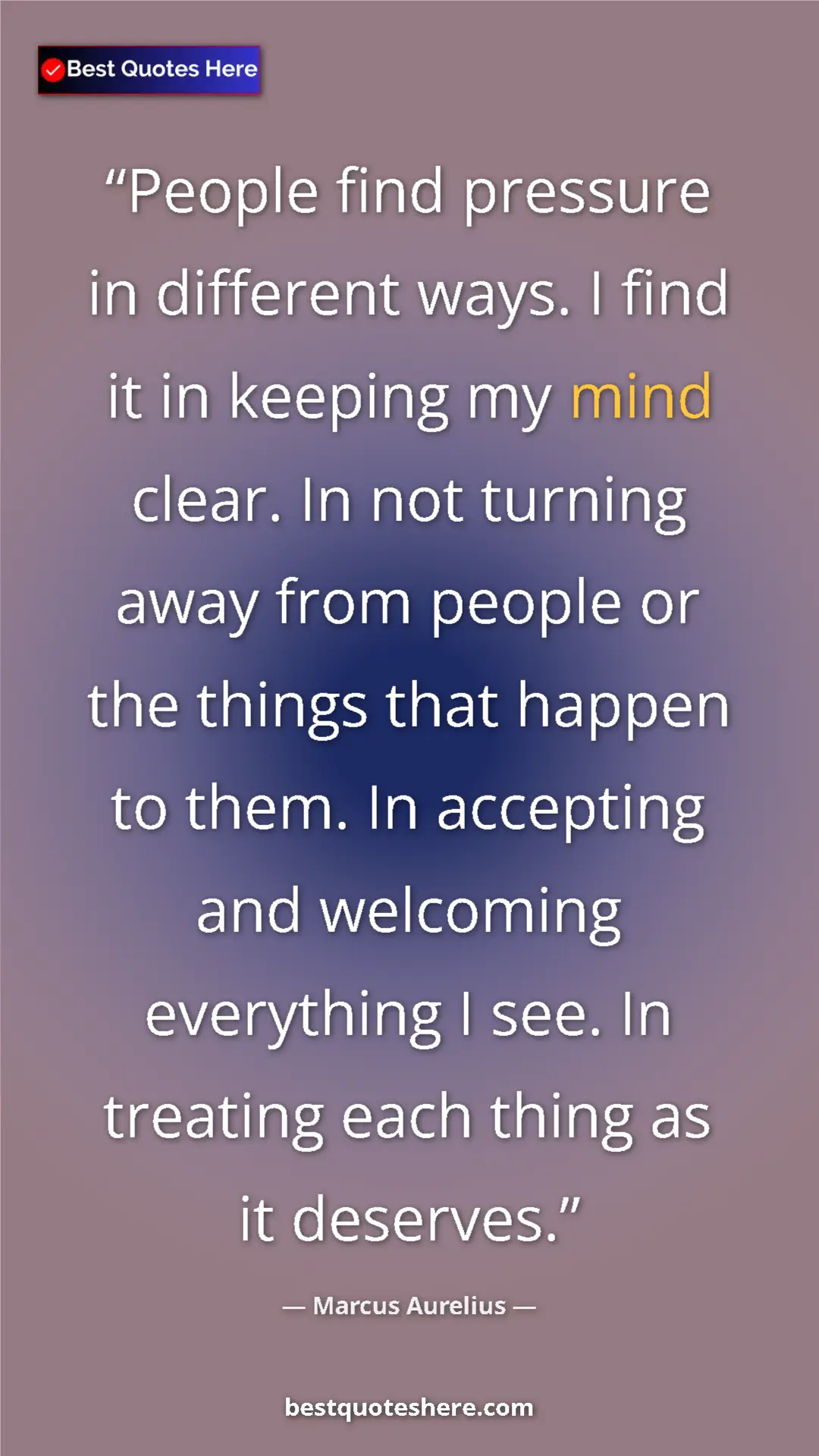 Pinterest quote poster by Marcus Aurelius: "People find pressure in different ways. I find it in..."