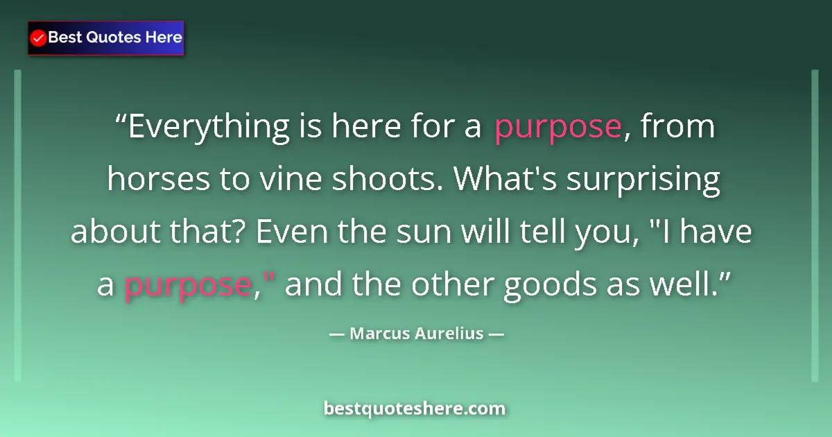 Marcus Aurelius quote: "Everything is here for a purpose, from horses to vine..."