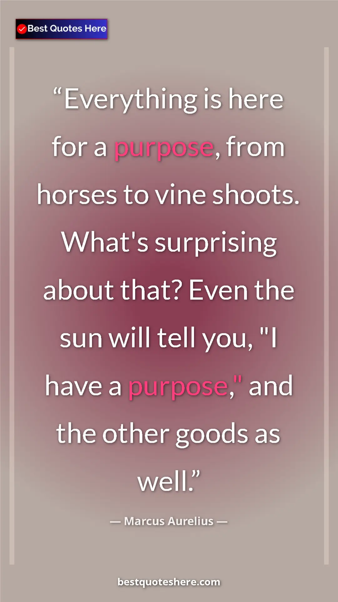 Pinterest quote poster by Marcus Aurelius: "Everything is here for a purpose, from horses to vine..."