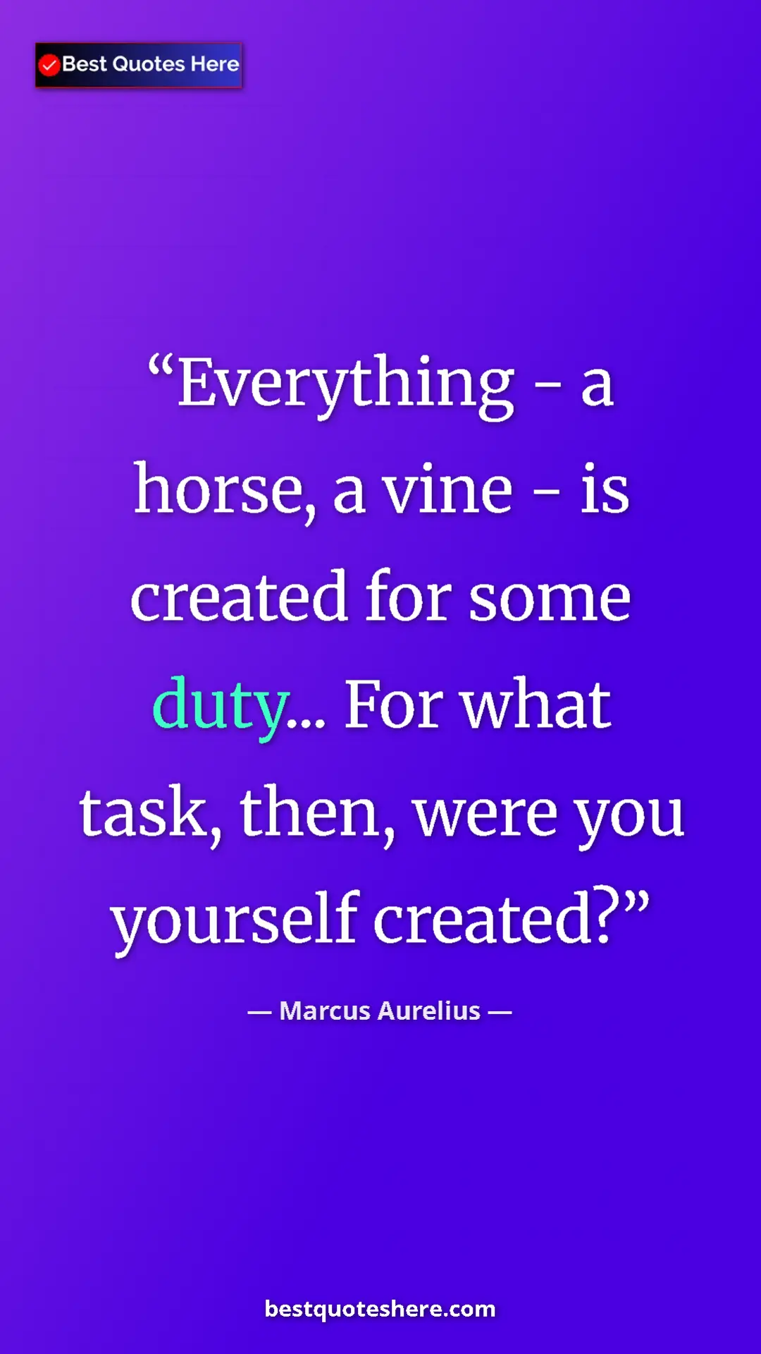Pinterest quote poster by Marcus Aurelius: "Everything - a horse, a vine - is created for some duty......"