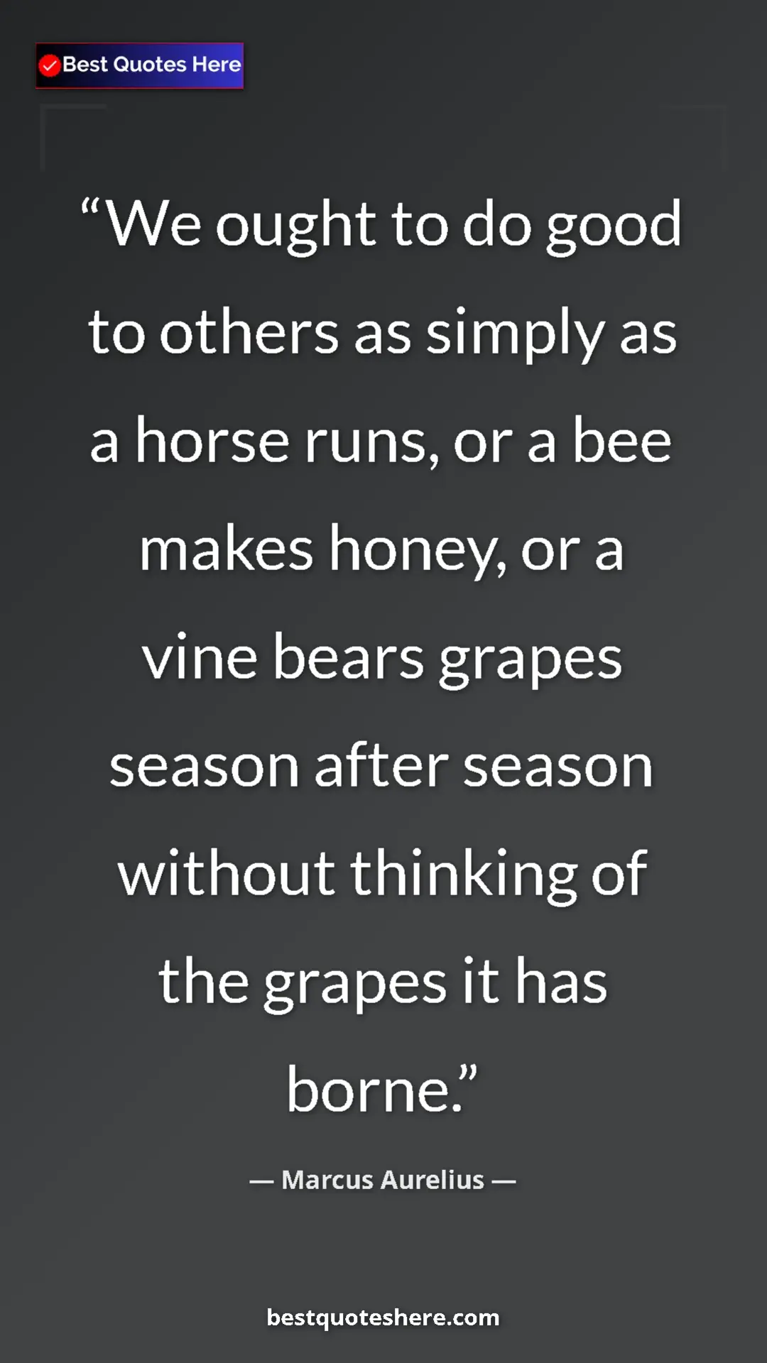 Pinterest quote poster by Marcus Aurelius: "We ought to do good to others as simply as a horse runs, or..."