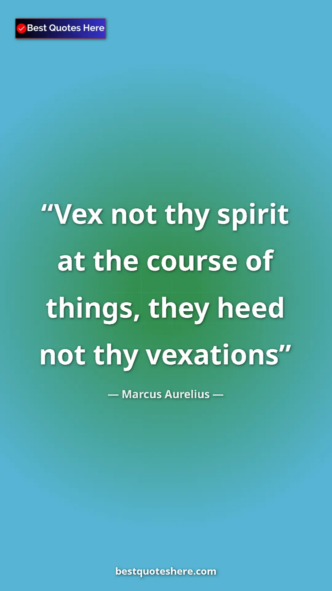 Pinterest quote poster by Marcus Aurelius: "Vex not thy spirit at the course of things, they heed not..."