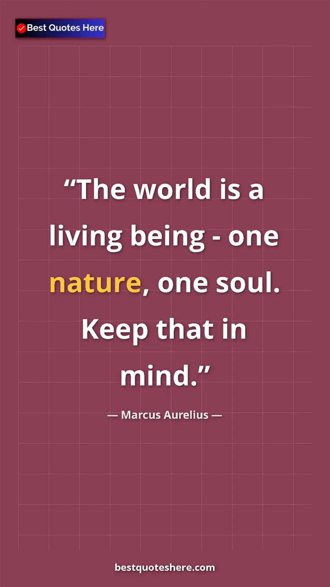 Pinterest quote poster by Marcus Aurelius: "The world is a living being - one nature, one soul. Keep..."