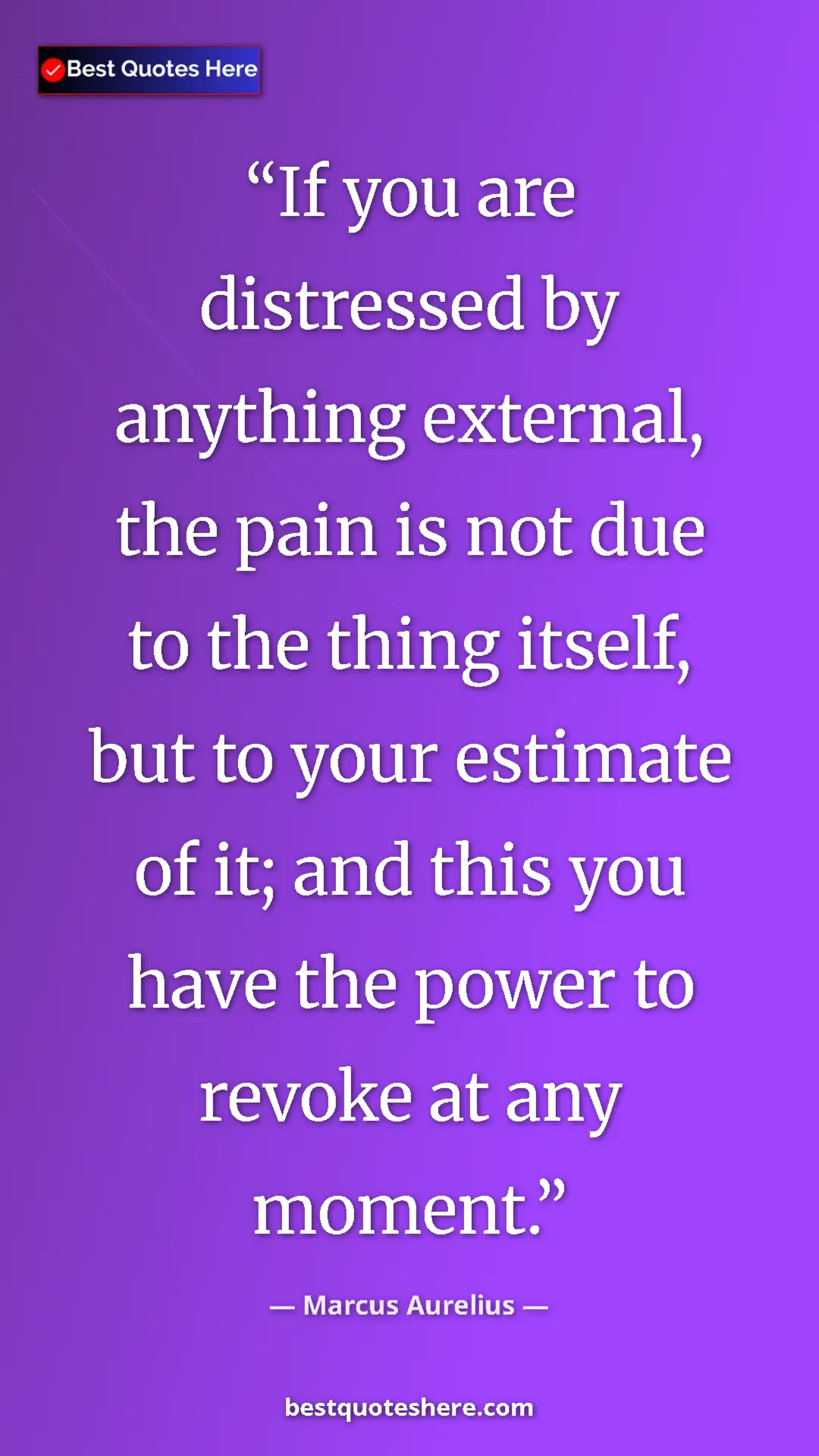 Pinterest quote poster by Marcus Aurelius: "If you are distressed by anything external, the pain is not..."