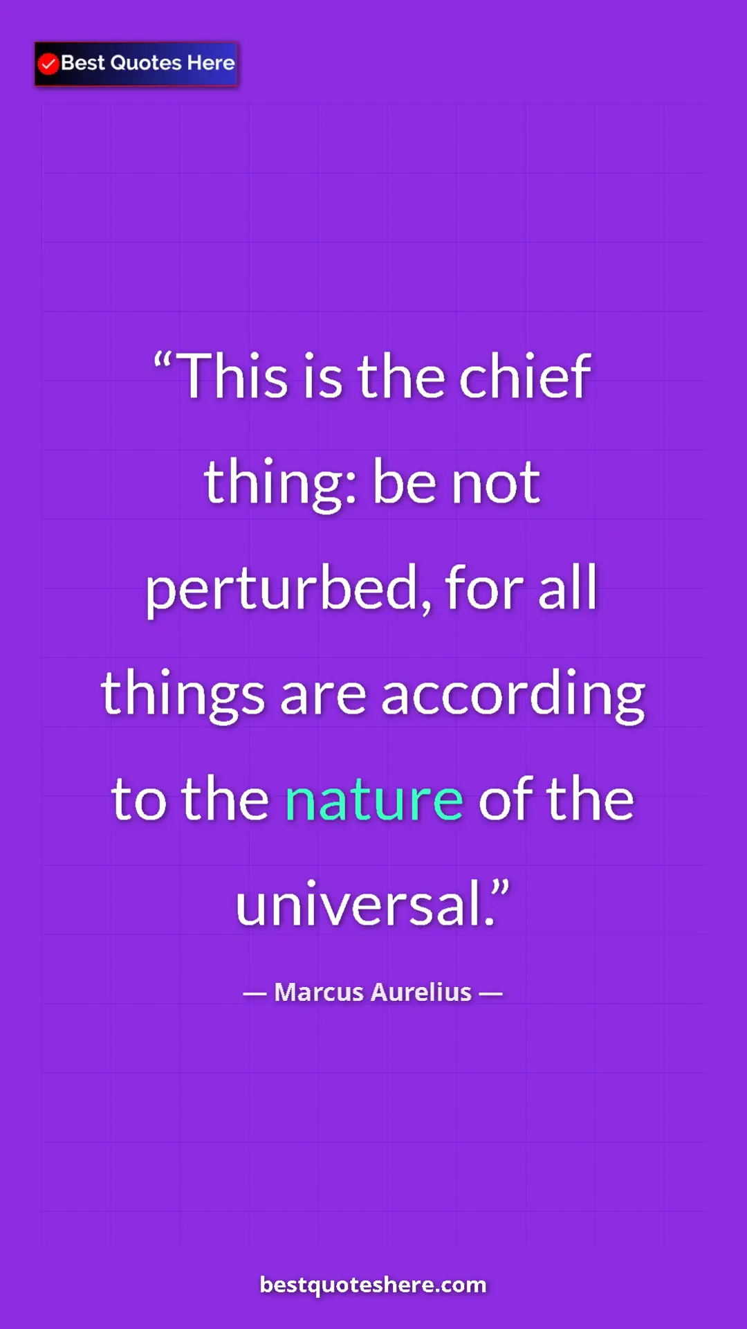 Pinterest quote poster by Marcus Aurelius: "This is the chief thing: be not perturbed, for all things..."