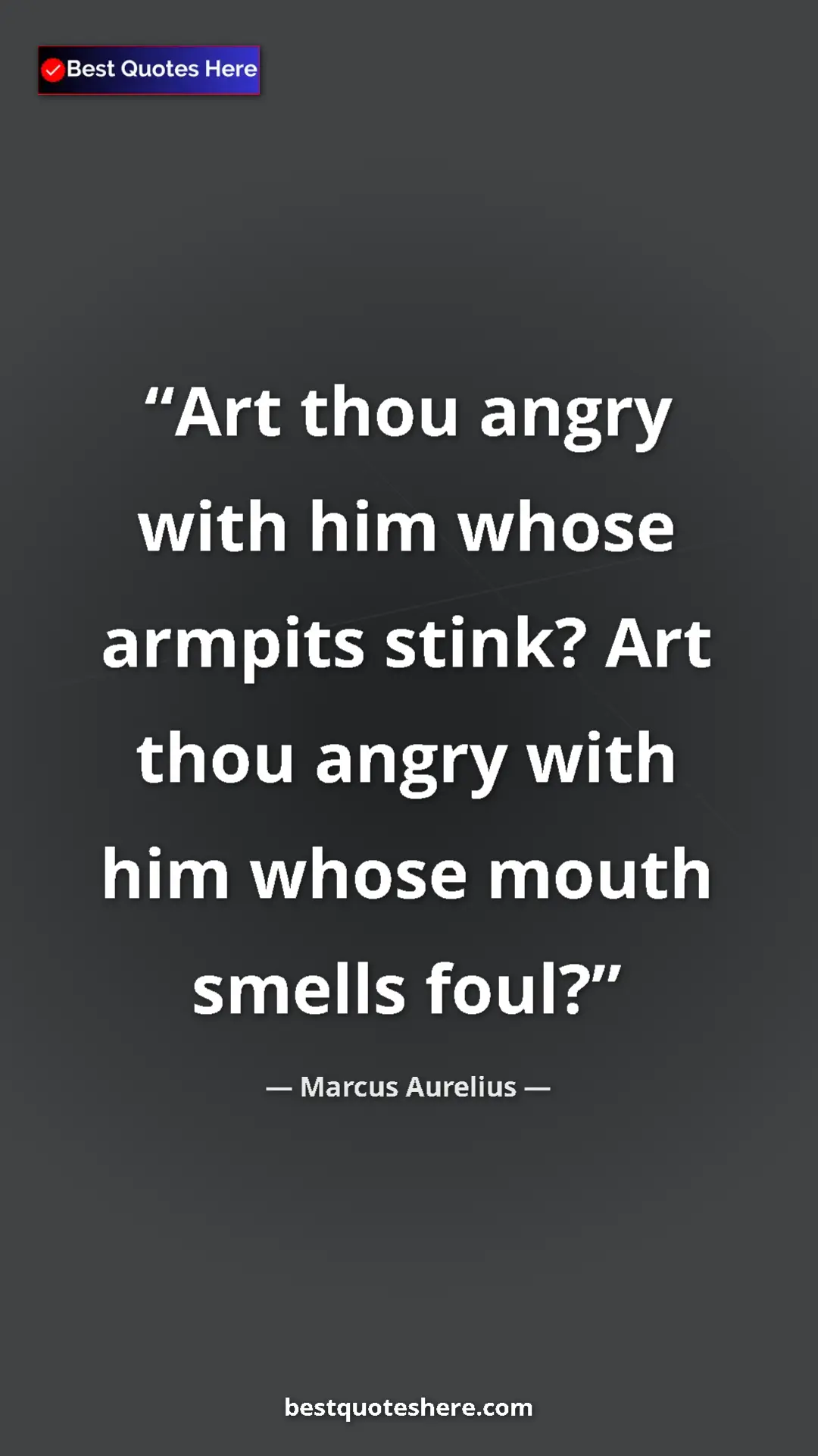 Pinterest quote poster by Marcus Aurelius: "Art thou angry with him whose armpits stink? Art thou angry..."