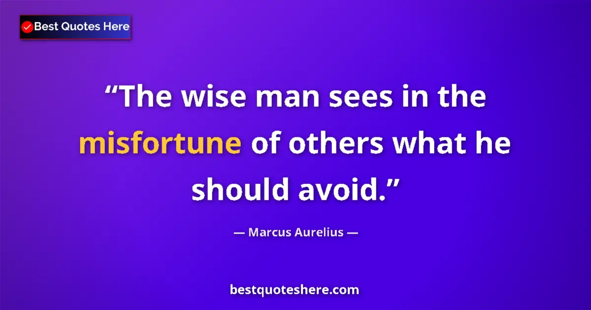 Quote by Marcus Aurelius: The wise man sees in the misfortune of others what