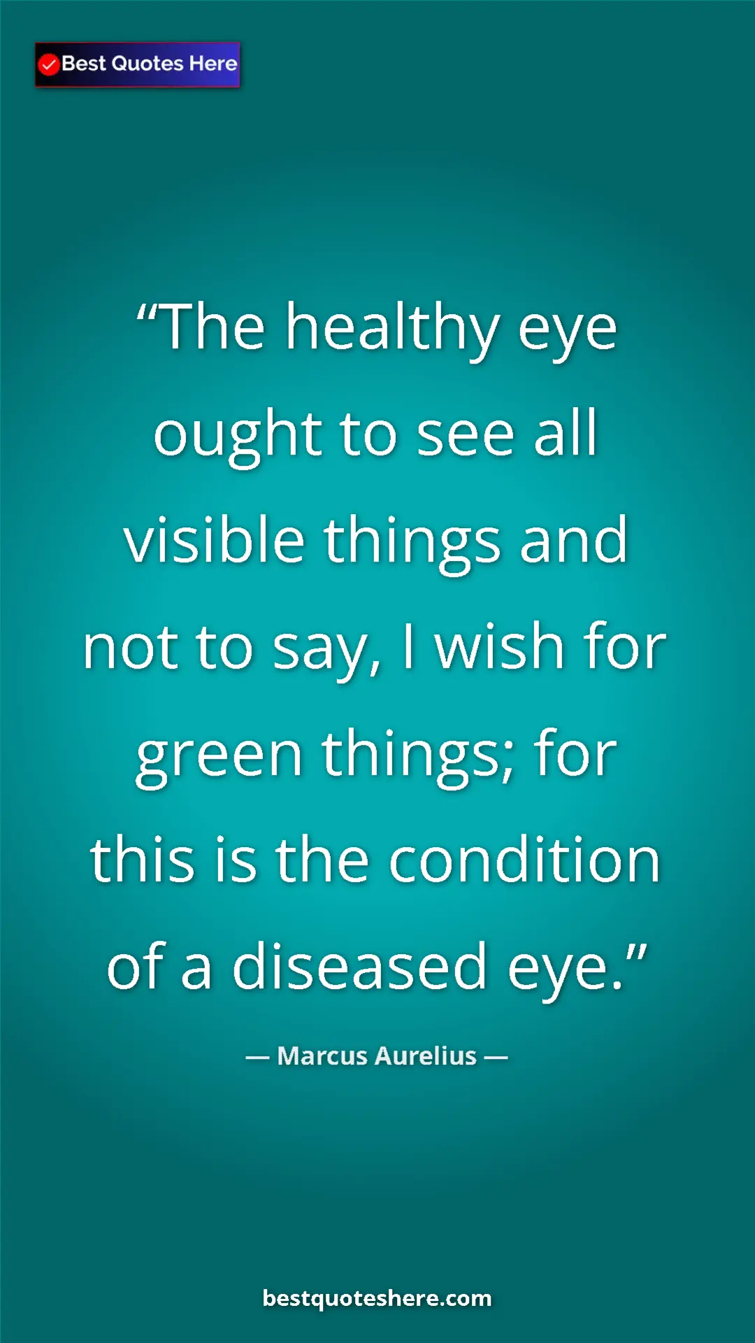 Pinterest quote poster by Marcus Aurelius: "The healthy eye ought to see all visible things and not to..."