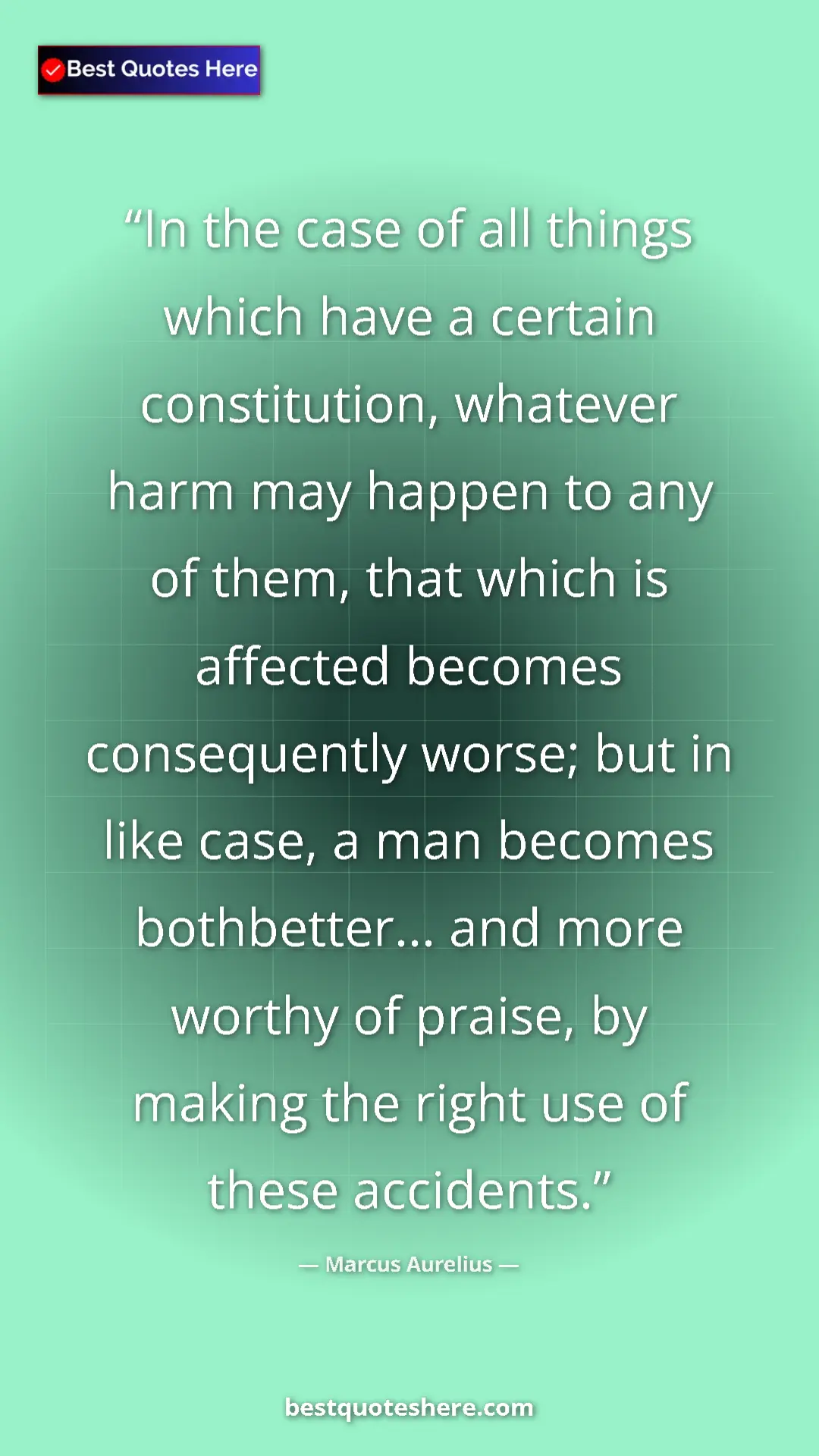 Marcus Aurelius Quote Card: "In the case of all things which have a certain..." Pinterest quote poster by Marcus Aurelius: "In the case of all things which have a certain..."