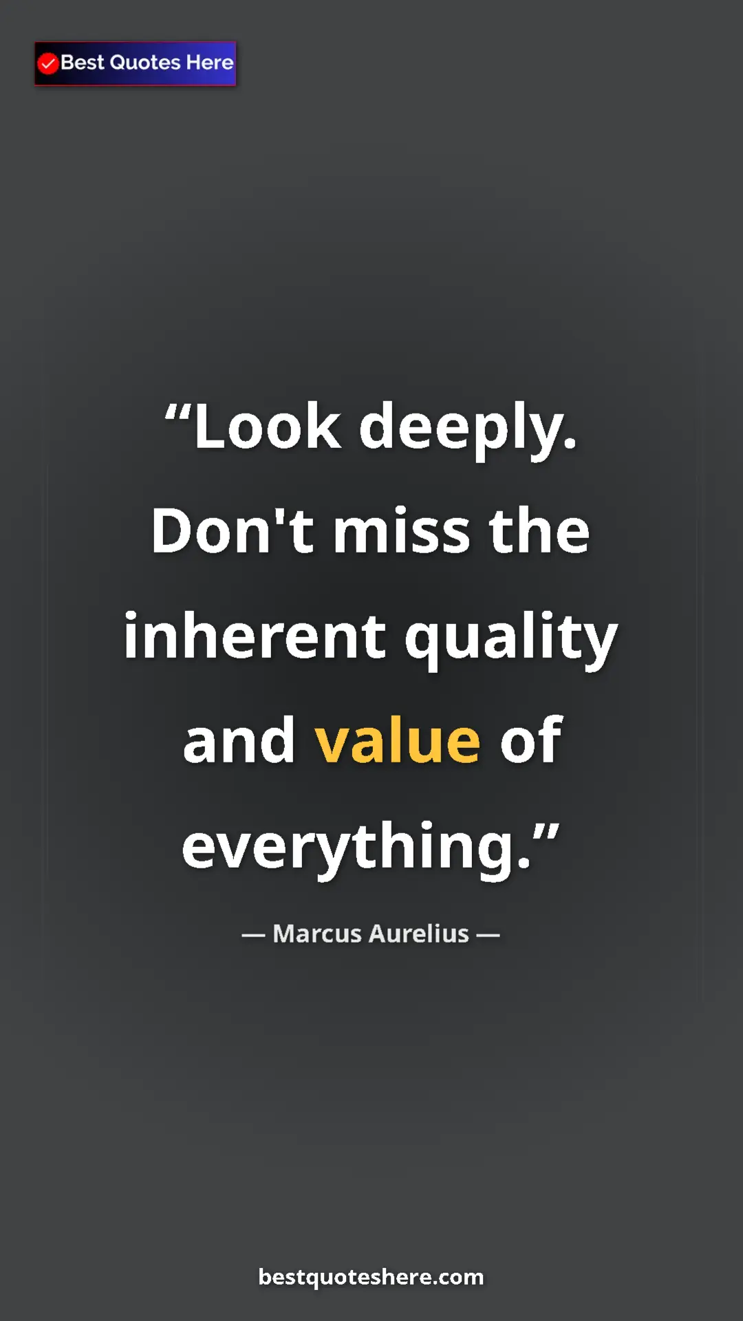 Pinterest quote poster by Marcus Aurelius: "Look deeply.  Don't miss the inherent quality and value of..."