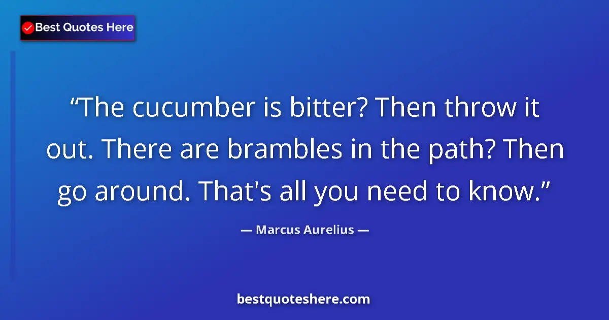 Quote by Marcus Aurelius: The cucumber is bitter? Then throw it out. There a