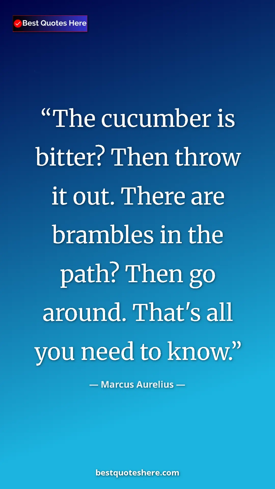 Pinterest quote poster by Marcus Aurelius: "The cucumber is bitter? Then throw it out. There are..."