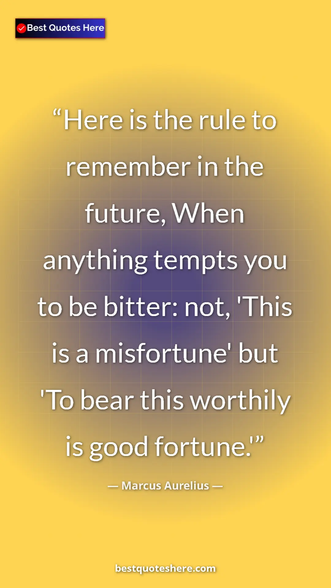 Pinterest quote poster by Marcus Aurelius: "Here is the rule to remember in the future, When anything..."