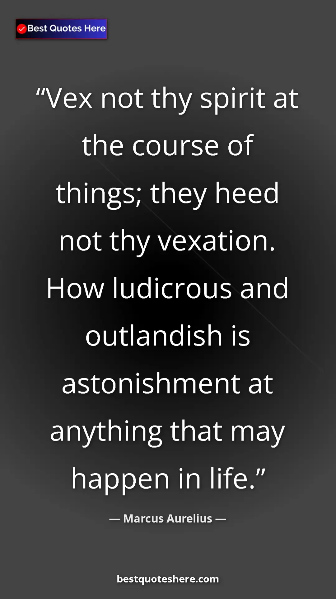 Pinterest quote poster by Marcus Aurelius: "Vex not thy spirit at the course of things; they heed not..."