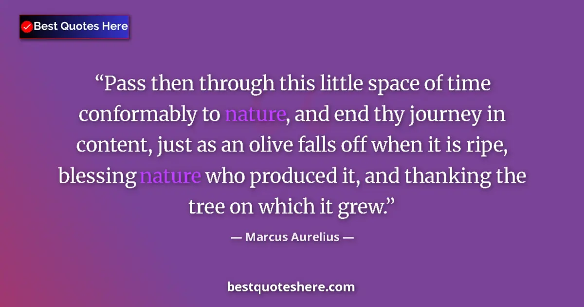 Marcus Aurelius quote: "Pass then through this little space of time conformably to..."