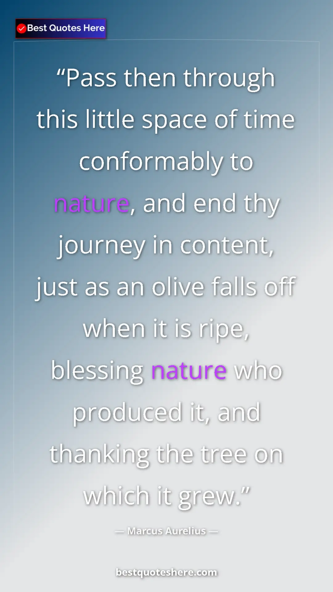 Pinterest quote poster by Marcus Aurelius: "Pass then through this little space of time conformably to..."