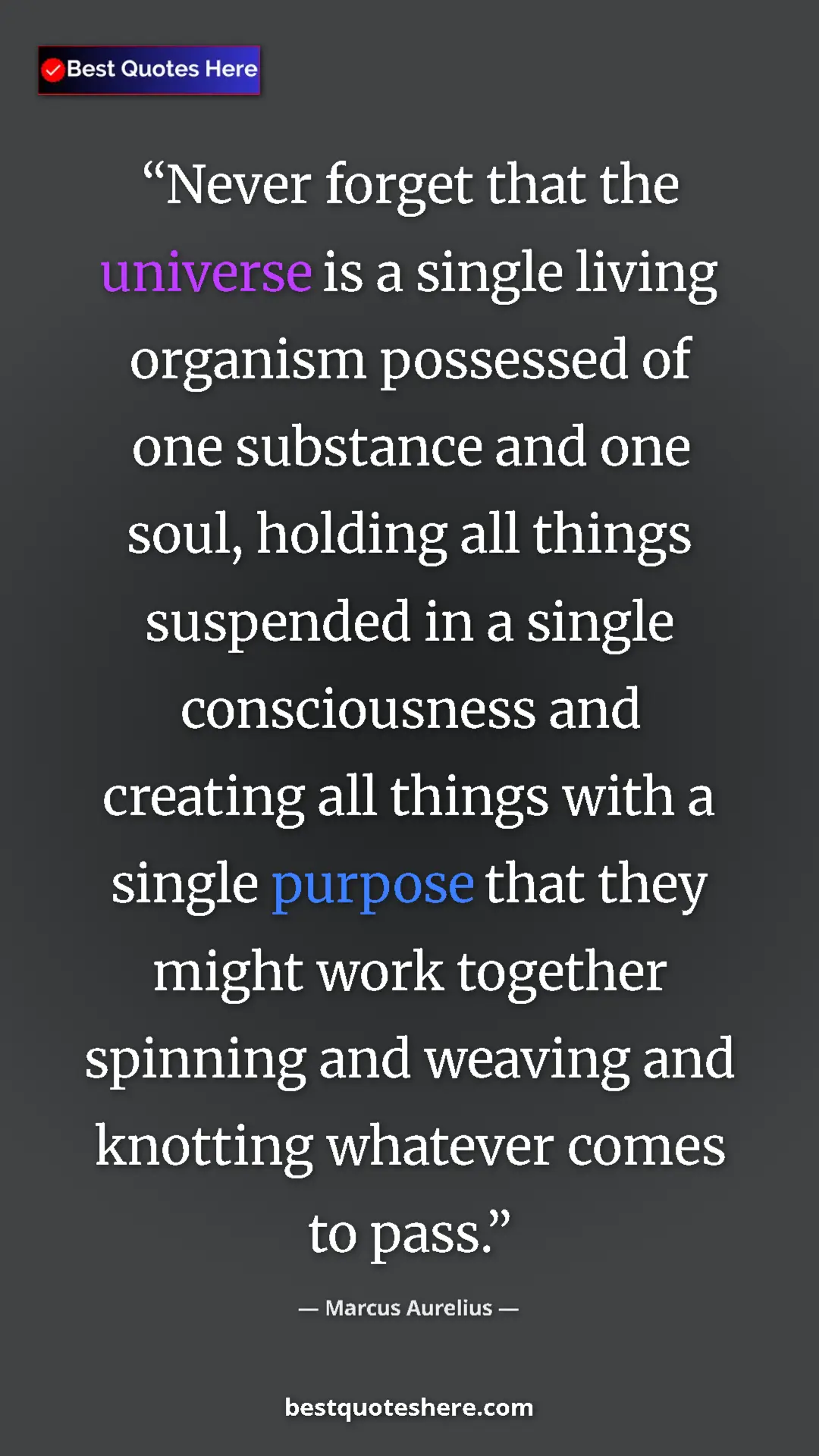 Marcus Aurelius Quote Card: "Never forget that the universe is a single living organism..." Pinterest quote poster by Marcus Aurelius: "Never forget that the universe is a single living organism..."