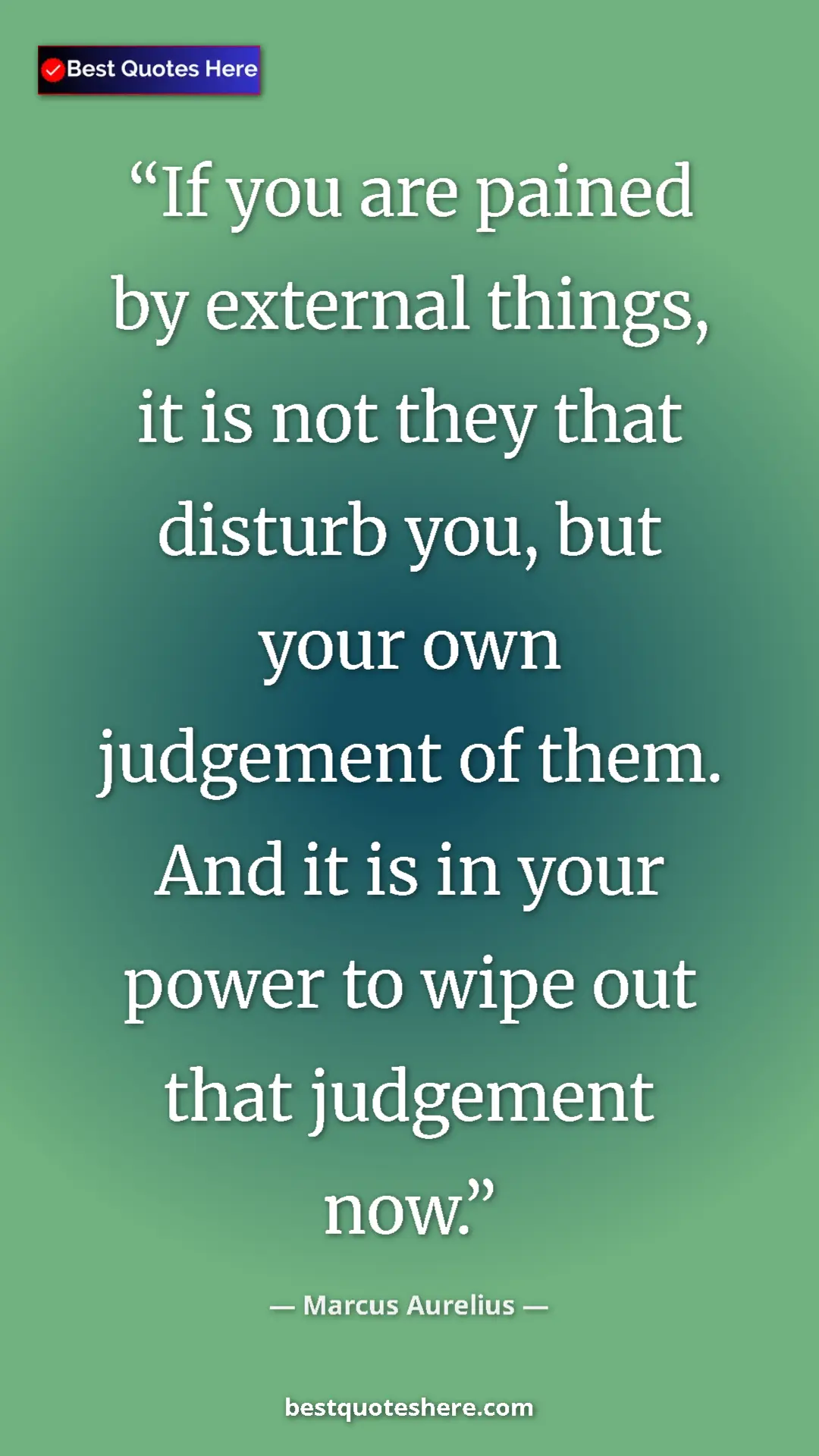 Pinterest quote poster by Marcus Aurelius: "If you are pained by external things, it is not they that..."